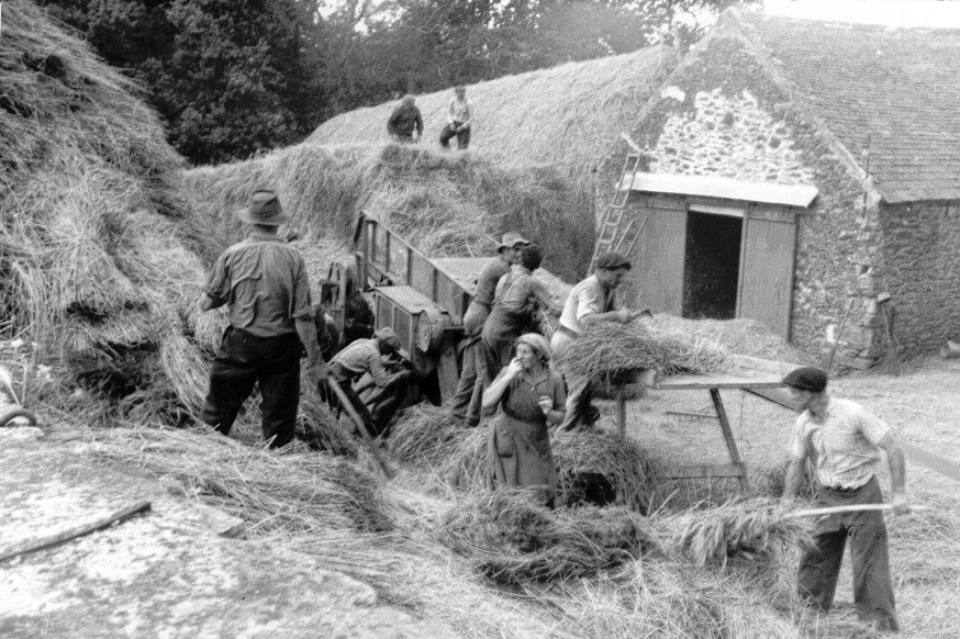 Le battage à Kertanguy en 1957 - Ph. Bernard Le Gall