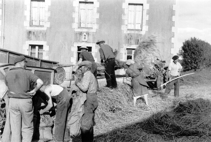 Le battage à Kertanguy en 1957-58 - Ph. Bernard Le Gall