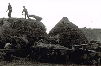 Le battage à Kertanguy en 1957-58 - Ph. Bernard Le Gall