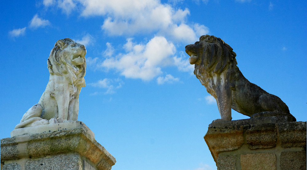 Lions posés par Robert Gourlaouen