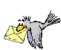 Ecrire à l'auteur du site Pigeon