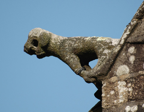 Le chien à l'arrêt - Photo A. Croguennec moulin de Brezal - chien à l'arrêt