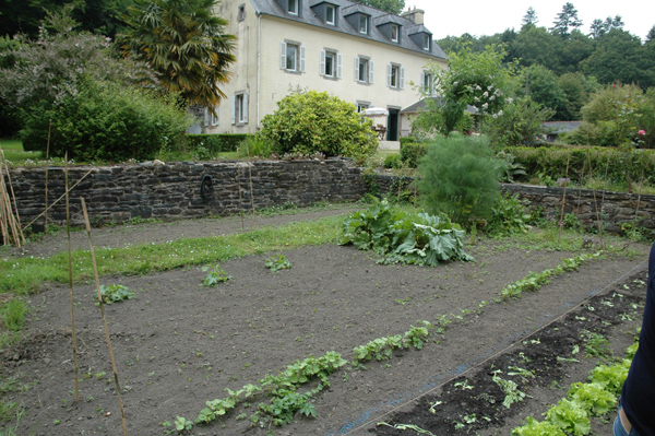 La base des murs du moulin - Photo A. Croguennec 11/6/2015 la base des murs du moulin
