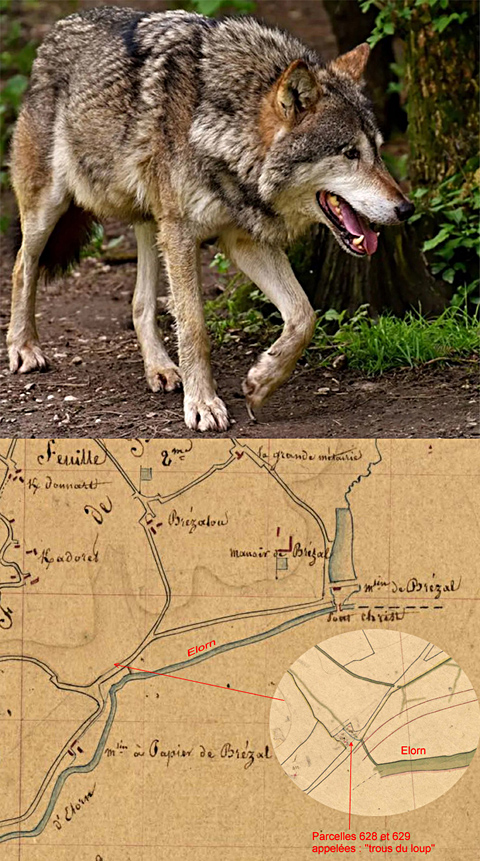Trous du loup à Brezal
