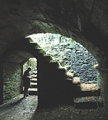 Château de la Joyeuse-Garde - L'escalier de la cave