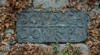 L'inscription