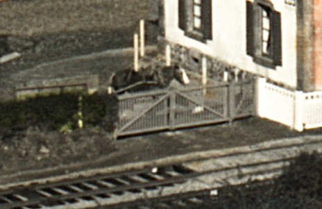 Dalhia, la jument, attend que le train soit passé