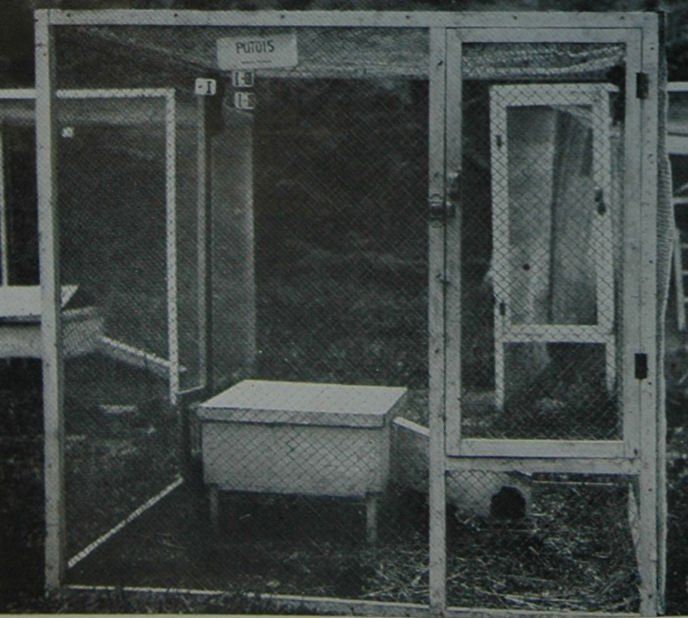 Cage de putois