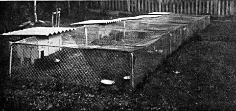 Cage pour skungs