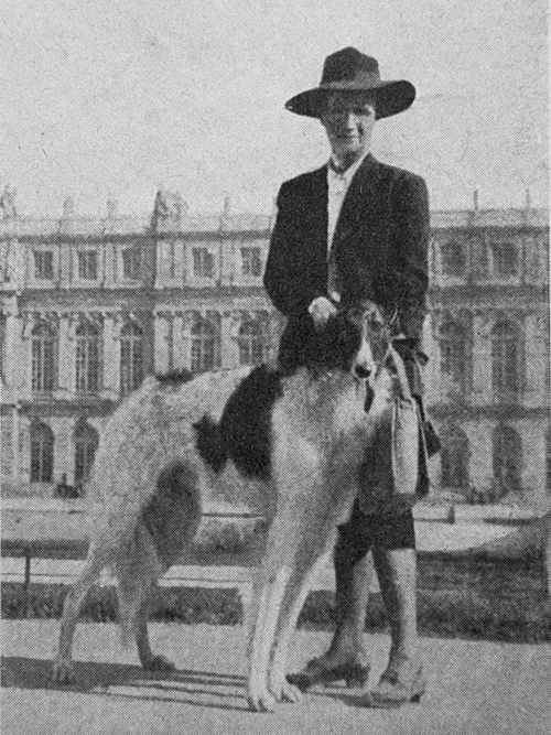 Barzoï, lévrier russe
