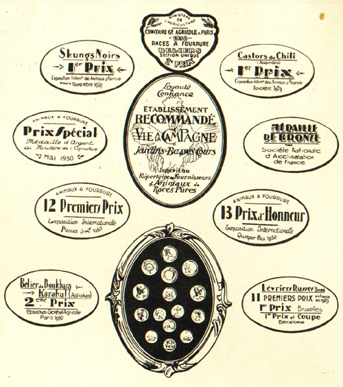 Succès aux grandes expositions