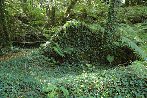 Ruine du petit moulin - Photo A. Croguennec - 27/8/2021