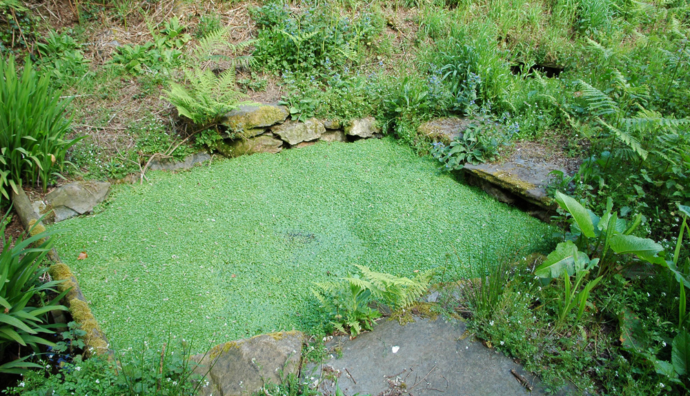 Penanrun, le lavoir des pauvres