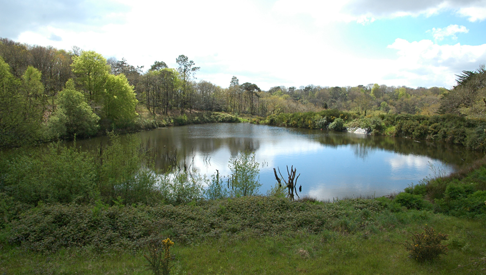 Etang de Penavern - Photo A. Croguennec