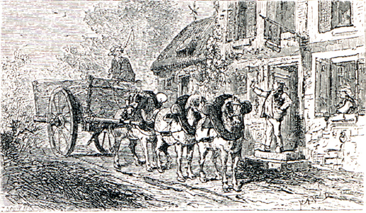 Ti Robée, dessin de Yan' Dargent
