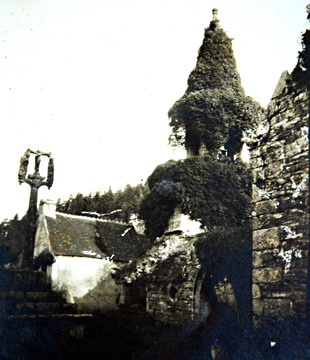Le lierre en juin 1921 - photo MAP