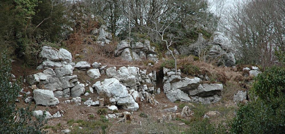 Roc'h Plat, au nord de la ferme - ph. André Croguennec le 26/2/2023