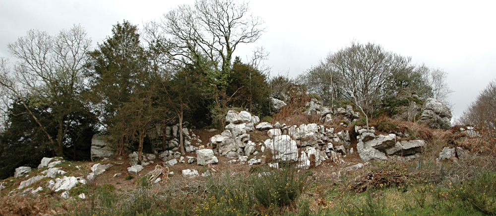 Roc'h Plat, au nord de la ferme - ph. André Croguennec le 26/2/2023