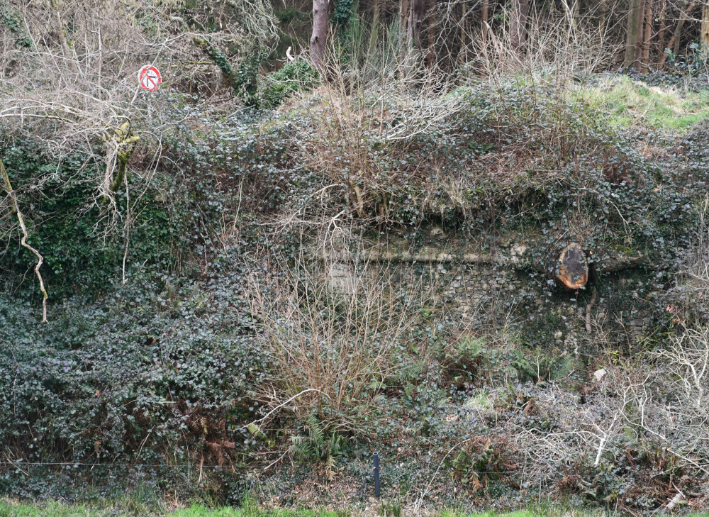 Photo A. Croguennec 13/2/2025